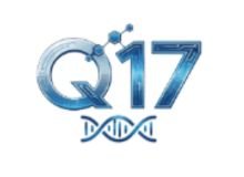 Q-17