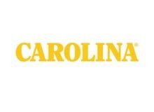 Carolina Footwear