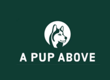 A Pup Above