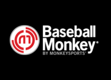 Baseball Monkey
