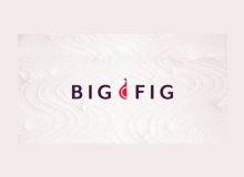 Big Fig Mattress