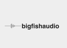Big Fish Audio