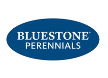 Bluestone Perennials
