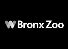 Bronx Zoo
