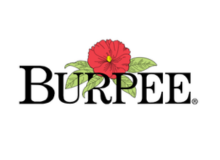 Burpee